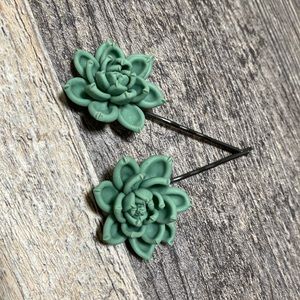 Custom made succulent hair pins